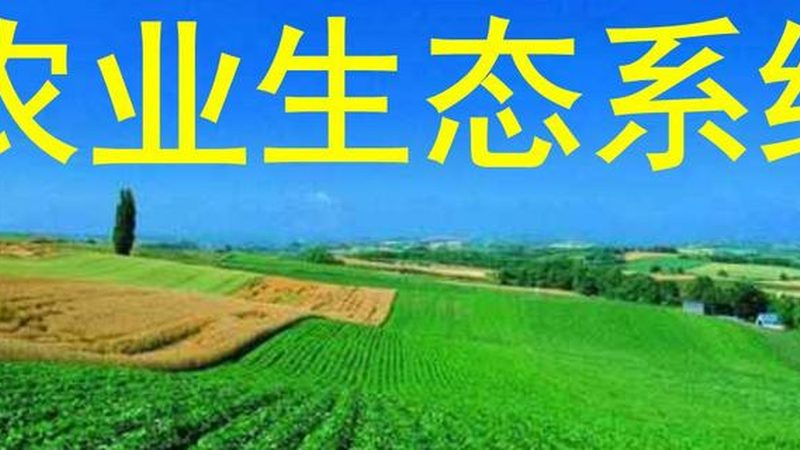 智慧农业补贴政策：助力农业现代化发展