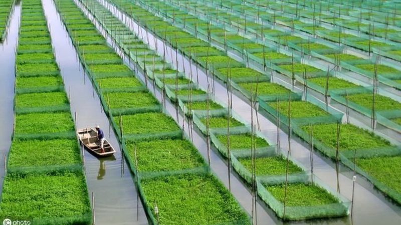 农民专业合作社贷款审批时间揭秘：流程与影响因素