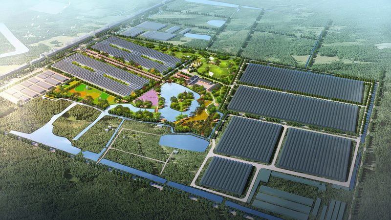 生鲜配送公司资质哪家好