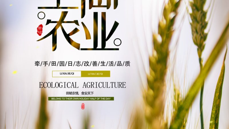 智能温室大棚：价格背后的考量因素