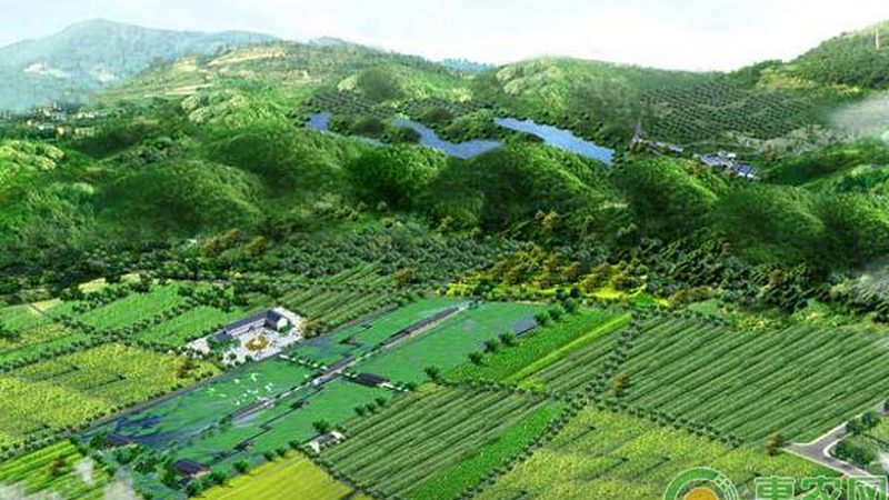 家庭农场土壤有机质提升，这些注意事项你了解吗？**