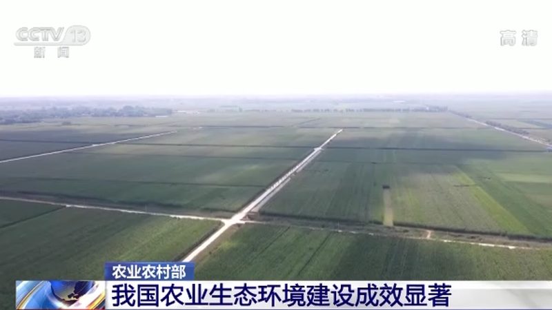 生鲜配送损耗控制方案怎么做：从源头到终端的精细化策略