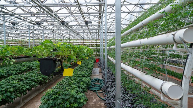 阳台种植箱哪个牌子质量好？揭秘选购关键