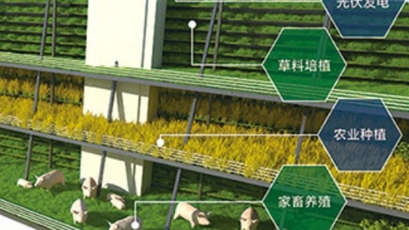 生态农业补贴申请，审批流程及时间解析